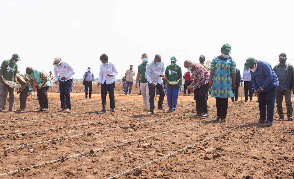 Lançamento da campanha agricolo 2020 - Cuamba Titimane-6.jpg