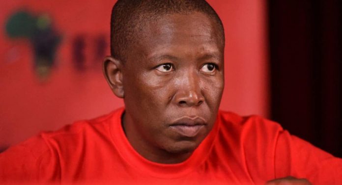 Malema-696x377.jpg