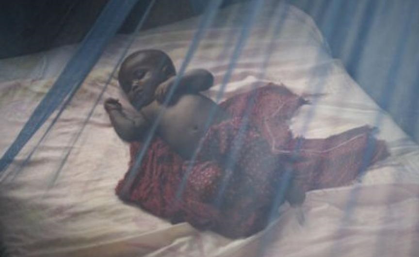 malaria-bed-net-covering-child-625x415.jpg