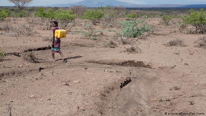 Aumento de calor no planeta concorre para a multiplicação de casos de doenças e em Moçambique há exemplos