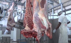 Empresa de processamento de carne na Manhiça tenciona instalar laboratório