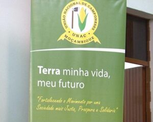 Camponeses Unidos submetem recomendação e decisões ao Governo Central