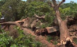 Vendaval destrói casas e fere criança em Nampula