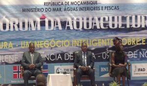 Para o desenvolvimento da aquacultura: Produção de ração é crucial para o sector em Moçambique