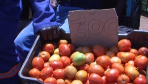 Vendedores do mercado grossista do Zimpeto advertem para subida de preço de tomate