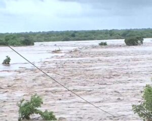 Cerca de quarenta mil pessoas pedem estar em perigo a partir desta semana na Zambézia devido as inundações