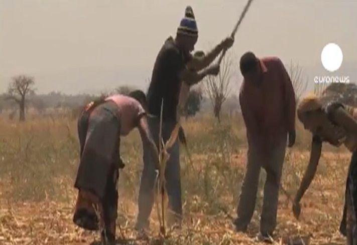 ONU alerta para mais fome em África nos próximos anos