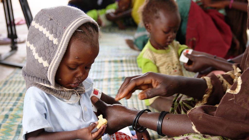 malnutrition_niger_CC-by_EC-ECHO-Anouk Delafortrie_0.jpg