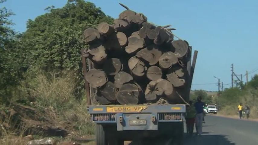 MADEIRA_TRAFICO.jpg