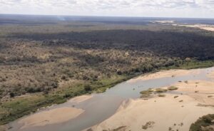 Parque Nacional de Zinave introduz 27 novos rinocerontes