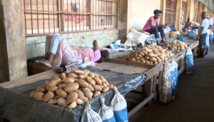 Cidade de Quelimane: Escassez da batata reno provoca aumento de preços