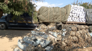 Aprendido camião com carvão vegetal a caminho do Zimbabwe