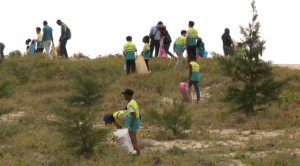 Consciencialização Ambiental: Jovens universitários promovem jornada de limpeza