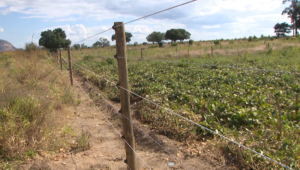 Conflito homem-Fauna bravia: População exige vedação eléctrica da Reserva Especial do Niassa