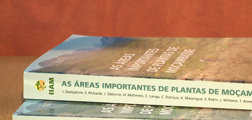 Preservação e conservação da flora: IIAM lança livro que mapeia  áreas importantes do país