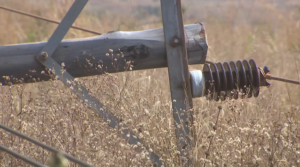 Vandalização da Rede Eléctrica no Niassa: Dez mil famílias da vila sede de Sanga ficaram sem corrente eléctrica