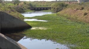 Regadio do baixo limpopo: Avaria de máquinas para limpeza condiciona a produção agrícola